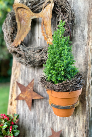 Blumentopfhalter zum Einschrauben