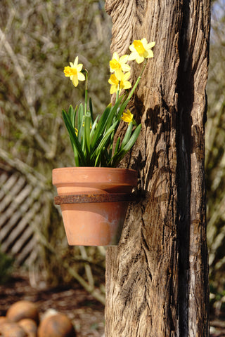 Blumentopfhalter zum Einschrauben