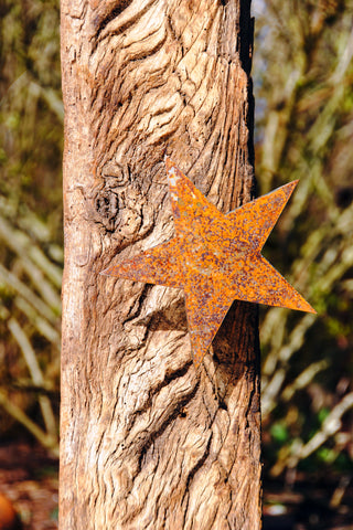Stern zum Einschrauben -verschiedene Größen-
