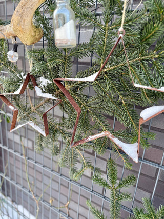 Stern aus Rost zum Aufhängen an einem Baum im Winter