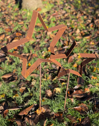 Stern aus gerostetem Bandstahl als Gartenstecker in einem immergrünen Kübel im Winter