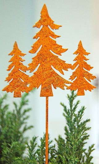 Blumenstecker Tannenwald aus Rost zwischen Tannengrün im winterlichen Blumenkasten
