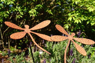 Libelle aus gerostetem Metall als Gartenstecker im Beet, Geschenkidee für Gartenliebhaber