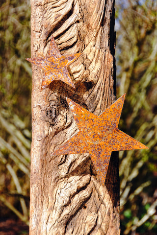 Stern aus Rost am Baumstamm im Herbstlicht