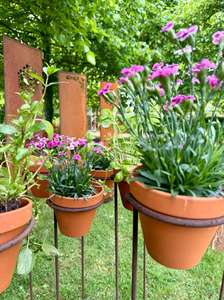 Frühling / Sommer