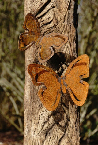 2er Set klein & mittel - Schmetterling zum Einschrauben