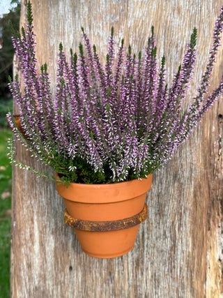 Blumentopfhalter zum Einschrauben mit passendem Tontopf, groß