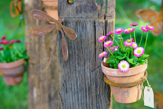 Blumentopfhalter zum Einschrauben