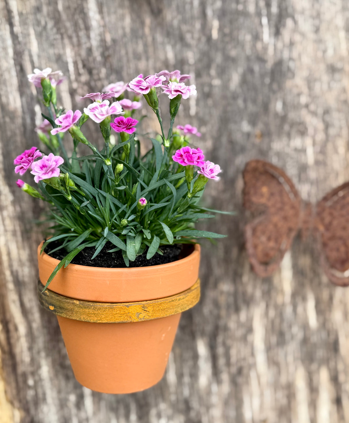 Blumentopfhalter mit Tontopf, klein