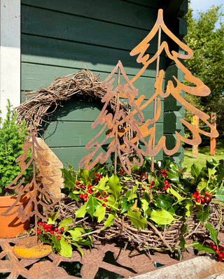 Tannenbäume -verschiedene Größen-