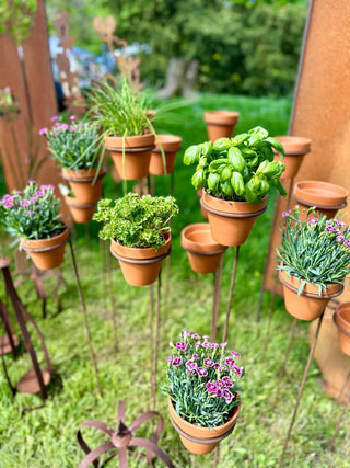 Blumen-/ Kräuterstab mit passendem Tontopf