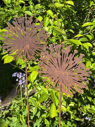 Allium Blüte als Gartenstecker