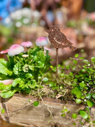 Vogel, Blumenstecker / Beetstecker -verschiedene Größen-