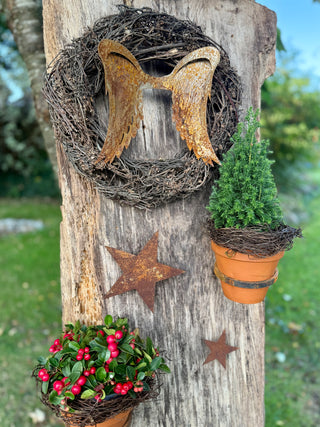 Stern zum Einschrauben -verschiedene Größen-