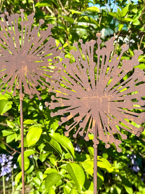 Allium Blüte als Gartenstecker