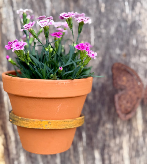 Blumentopfhalter zum Einschrauben mit passendem Tontopf, groß