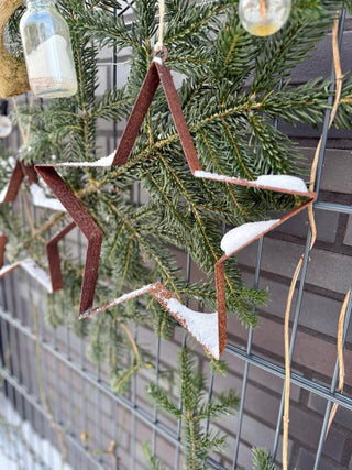 Stern zum Aufhängen -verschiedene Größen-