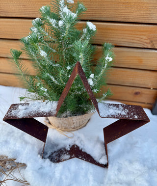 Stern zum Hinstellen