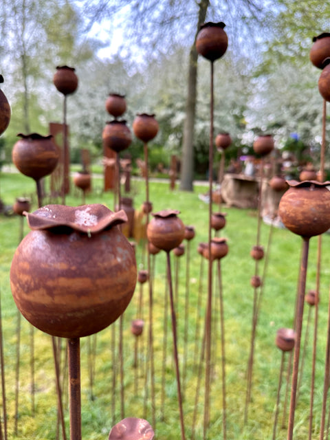 Mohnblume / Mohnkapsel als Gartenstecker