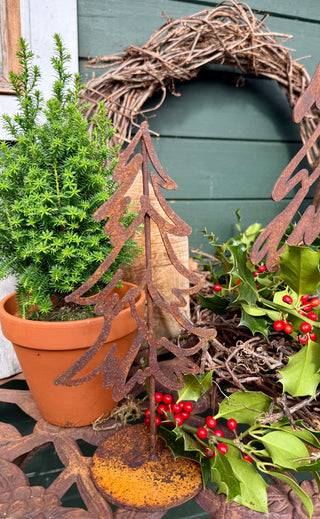 Tannenbäume -verschiedene Größen-