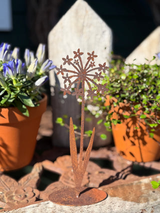 Blumen auf Bodenplatte -verschiedene Größen-