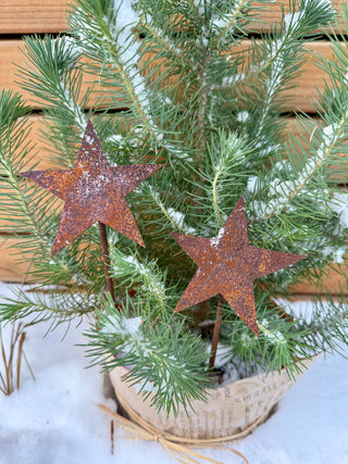 Blumenstecker 'Stern' klein