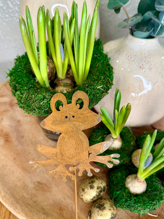 Frosch Blumenstecker