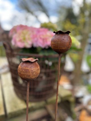 Mohnblume / Mohnkapsel als Gartenstecker