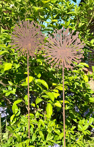 Allium Blüte als Gartenstecker