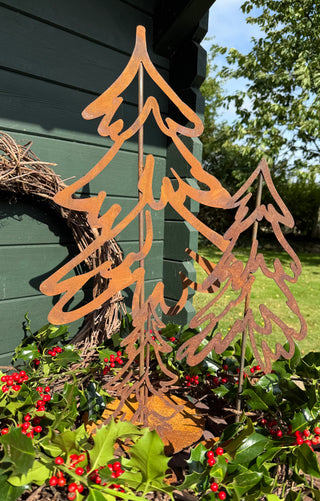 Tannenbäume -verschiedene Größen-