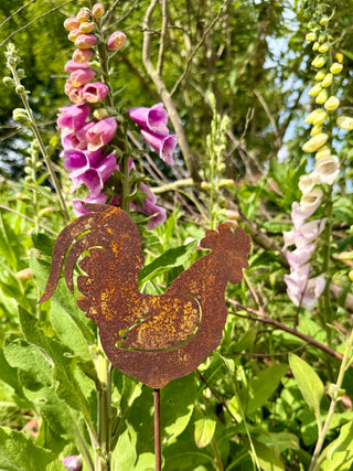 Hahn als Blumenstecker