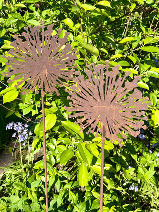 Allium Blüte als Gartenstecker