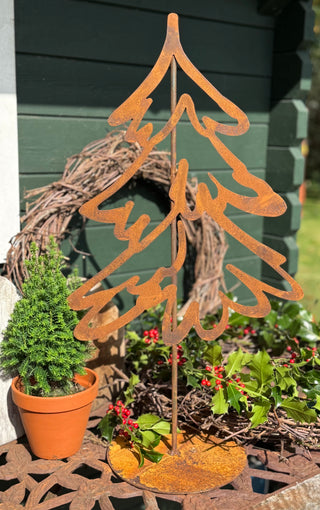 Tannenbäume -verschiedene Größen-