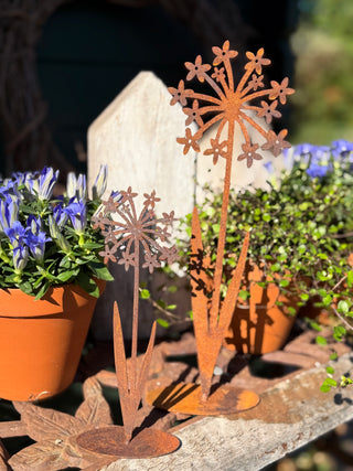 Blumen auf Bodenplatte -verschiedene Größen-