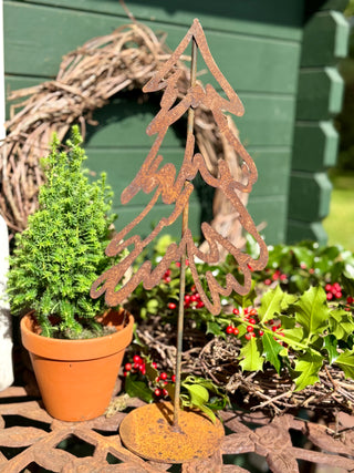 Tannenbäume -verschiedene Größen-