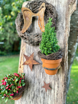 Blumentopfhalter zum Einschrauben mit passendem Tontopf, groß