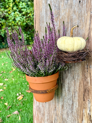 Blumentopfhalter zum Einschrauben