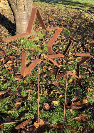 Stern aus Bandstahl als Gartenstecker -verschiedene Größen-