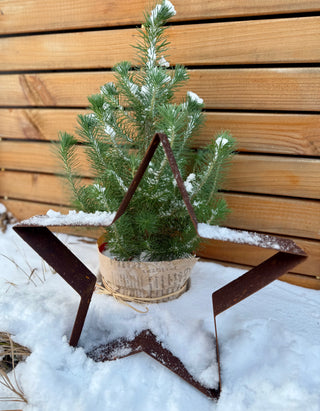 Stern zum Hinstellen