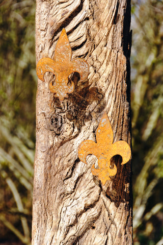 2er Set klein & groß - Fleur de Lys zum Einschrauben