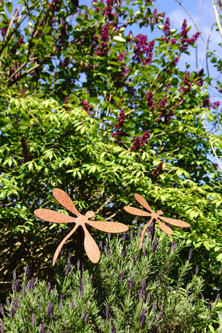 Libelle, Gartenstecker -verschiedene Größen-