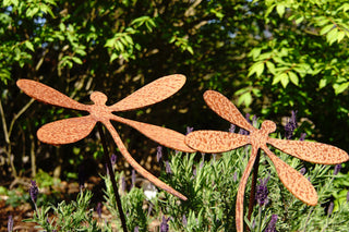 Libelle, Gartenstecker -verschiedene Größen-