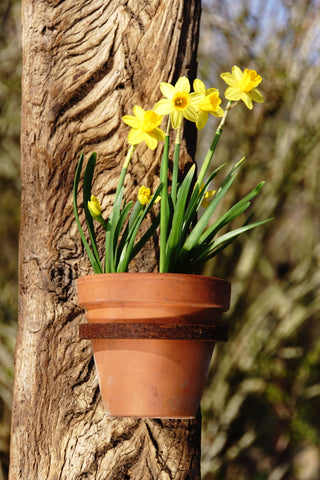 Blumentopfhalter zum Einschrauben