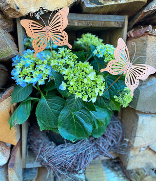 Schmetterling klein, Blumenstecker